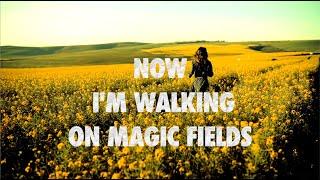 NaXwell DJ Combo & X-Perience - Magic Fields Official Lyric Video HD