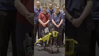 BMWs new Robot Dog #bostondynamics #robot