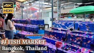 BANGKOK Chatuchak Fish Market Largest Fish Market In Bangkok  Thailand 4K HDR Walking Tour