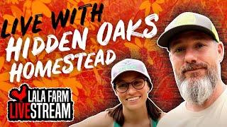 Lets get to know Hidden Oaks Homestead LIVE