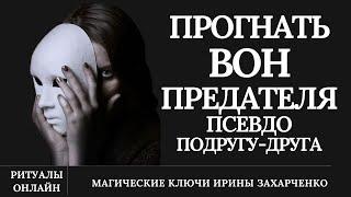 Прогнать ВОН ПСЕВДОПОДРУГУ ДРУГА. Выгнать поганой метлой из жизни того кто одел маску добра любви.