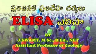 ELISA ENZYME LINKED IMMUNOSORBENT ASSAY  ఎలిసా