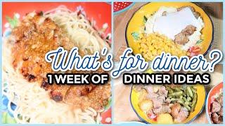 WHATS FOR DINNER? #278  7 Real-Life Family Meal Ideas