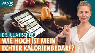 Kalorienbedarf berechnen und erfolgreich abnehmen  Dr. Julia Fischer  ARD Gesund