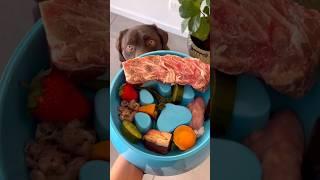 #rawfeeding #rawfeddog #rawfed #rawdogfood #barfdiet #barf #caninenutrition #dogasmr #dogmukbang