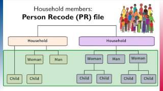 Introduction to DHS Data Structure