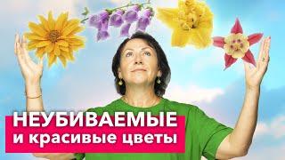 ПОСАДИЛ И ЗАБЫЛ 10 изумительно красивых и неприхотливых многолетних растений для вашего сада