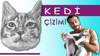 Kedi Çizimi Basit Çizim Karakalem Kedi Tonlaması