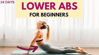 Lower Abs Workout  Beginners Abs Workout Routine Without Experiment At Home