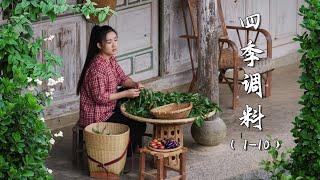 Unique Spice Gardens of the Village  Spices of Four Seasons 【滇西小哥】