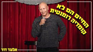 אלעד דוד - החיים הם לא קומדיה רומנטית