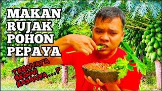 Rujak batang pepaya mentah #salamprodukalam