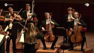 Elgar Serenade for Strings - Concertgebouw Chamber Orchestra - Live concert HD