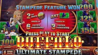 Playing Buffalo Ultimate Stampede - Chasing The Stampede Meter #buffaloslot #slotmachine #casino