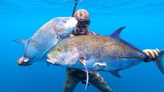 INDO TALES - EPISODE 1 Double blufin trevally and cooking octopus