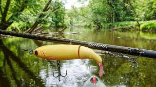 Whopper Plopper 130  What Will EAT IT??  Michigan River Fishing