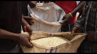 Bags of maize to be sold on weight basis to offer farmers value 25-06-24