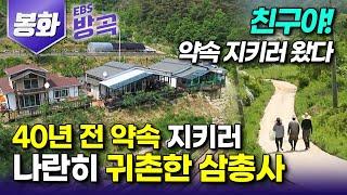 경북 봉화 이런 친구를 누구나 가질 수 있을까 열여덟에 일터에서 만난 친구들과 한 약속 지키러 굽이굽이 아홉 고개 넘어 오지에 터 잡은 삼총사┃#한국기행 #방방곡곡