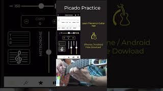 PICADO Practice with Learn Flamenco Guitar App