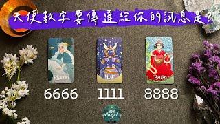 6666｜1111｜8888天使數字要傳達給你的訊息是？《高我高靈宇宙訊息塔羅占卜》Pick a card｜Angel808天使療癒花園｜獨門真源塔羅｜Mike Wu吳真源老師［CC字幕］