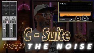 c-suite c-vox noise & ambience reduction & uad Livestreaming