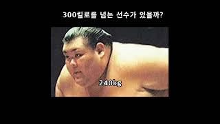 스모 300킬로는 넘는 선수가 있을까?