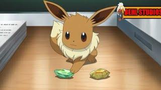 POKEMON MASTER JOURNEYS Chloes eevee cant evolve by evolution stones.ENGLISH DUBBED.