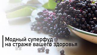 Что делают с организмом человека ягоды асаи  Польза ягод асаи для нашего организма