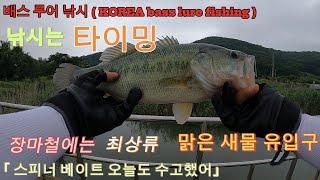 낚시는 타이밍이다 맑은물 최상류 새물유입구 배스 루어 낚시 korea bass lure fishing 완도호