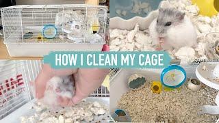 How I clean my hamsters cage