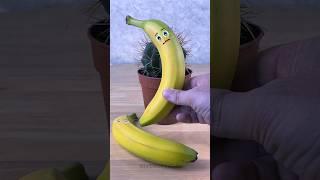 Banana fell on a cactus Emergency fruit surgery #shorts