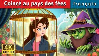 Coincé au pays des fées  Stuck in Fairyland in French  @FrenchFairyTales