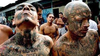 10 Most Dangerous Gangs In The World