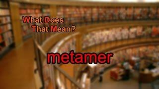 What does metamer mean?