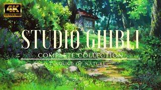 4K VIDEO  RELAXING STUDIO GHIBLI COMPLETE PIANO MUSIC COLLECTION  BEAUTIFUL ANIME VIDEO