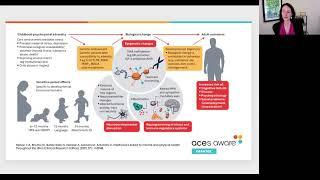 ACEs Trauma and Mental Health Assessment in Pediatric Primary Care A Stepped Care Approach