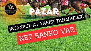 NET BANKOLU İSTANBUL AT YARIŞI TAHMİNLERİ PAZAR