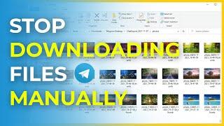 How to Download All Files from a Telegram Chat  Group