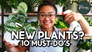 10 MUST-dos for your New Plants  Plant Care 101