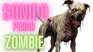  Sonido de perro Zombie ladrando Fuerte
