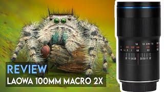 My PERSONAL EXPERIENCE Using The LAOWA 100mm f2.8 2x Ultra Macro Lens  REVIEW