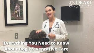 Everything You Need to Know About Dog Preventative Care