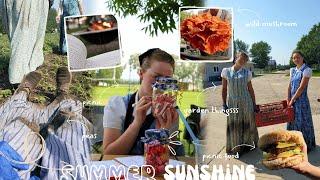 abundance of work & relaxation in the summer sunshine  peas picnic strawberries etc. vlog 203