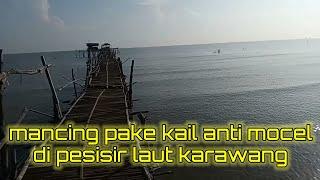 mancing pake kail anti mocel di pesisir laut karawang #mancing #kailantimocel