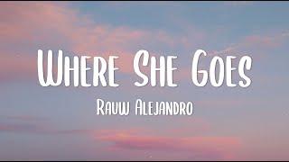 Rauw Alejandro - Where She Goes Bad Bunny Cover