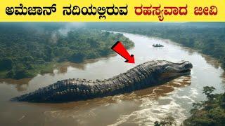 ರಹಸ್ಯವಾದ Amazon ನದಿಯಲ್ಲಿ ಏನಿದೆ ?  Worlds Most Mysterious Amazon River in Kannada  Think Forever