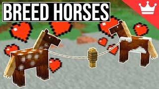 How to Breed Horses in Minecraft All Versions