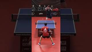 Absolutely INSANE Table Tennis Defense from Yang Wang  #tabletennis #defence #proplayer