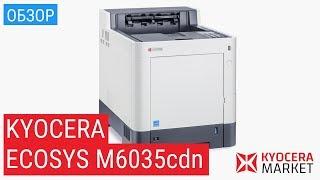 Обзор принтера Kyocera ECOSYS P6035cdn