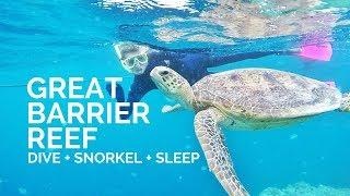 Whitsundays GREAT BARRIER REEF  Dive + Snorkel + ReefSleep